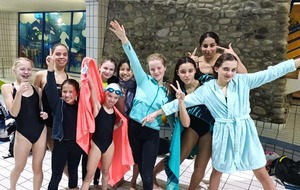 Journées Synchro d'or et d'argent 20 novembre 2022