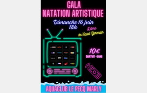 Gala de Natation Artistique 2024