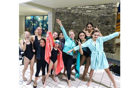 Journées Synchro d'or et d'argent 20 novembre 2022